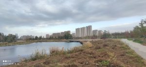旅行照片 7